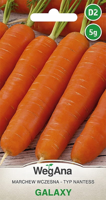 Marchew Galaxy 5g nasiona - WegAna
