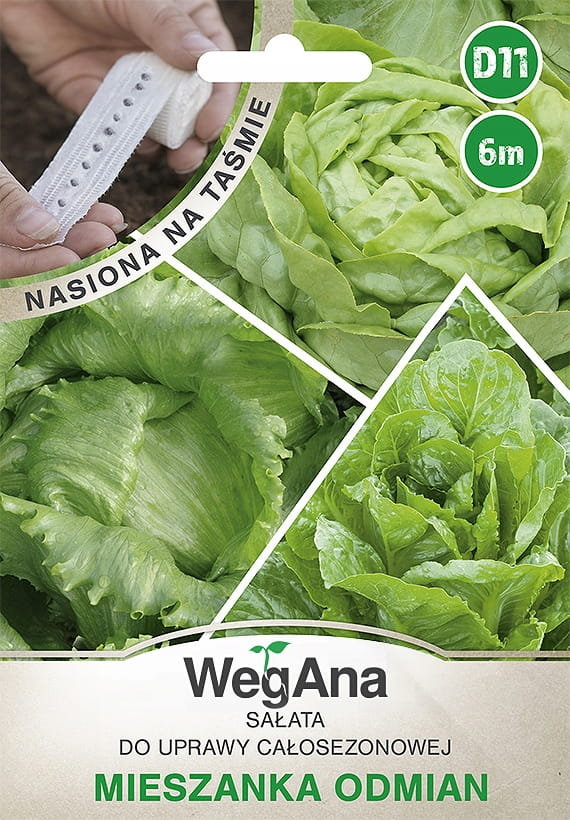 Sałata mieszanka odmian zielonych nasiona na taśmie 6 m nasiona - WegAna