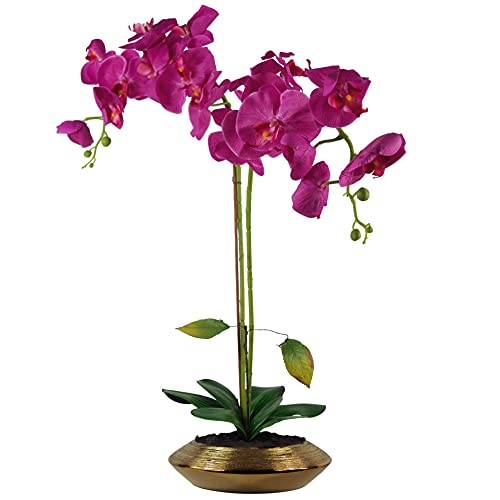 Leaf Design UK sztuczny orchidea naturalny wygląd