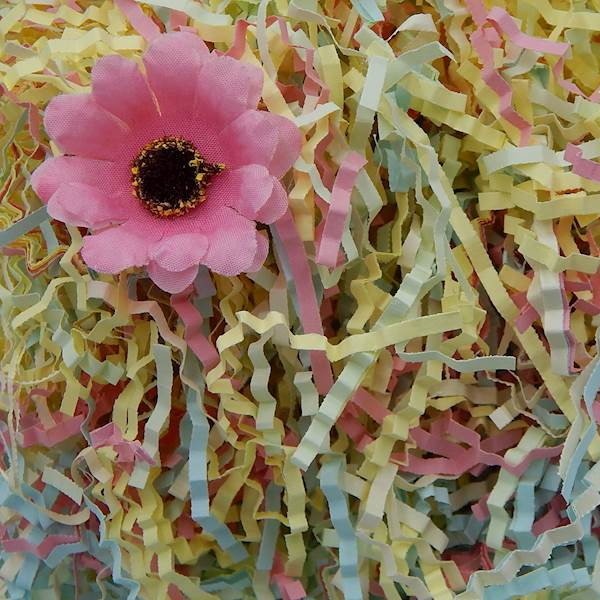 Wypełniacz Naturalny Dekoracyjny Mix Pastelowy