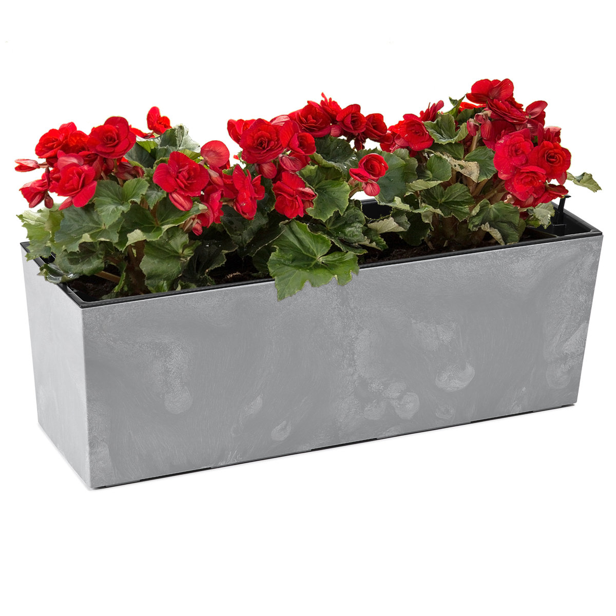 Donica kwietnik efekt betonu wkład Szary Mat 56x19 H19,5cm Prostokątna