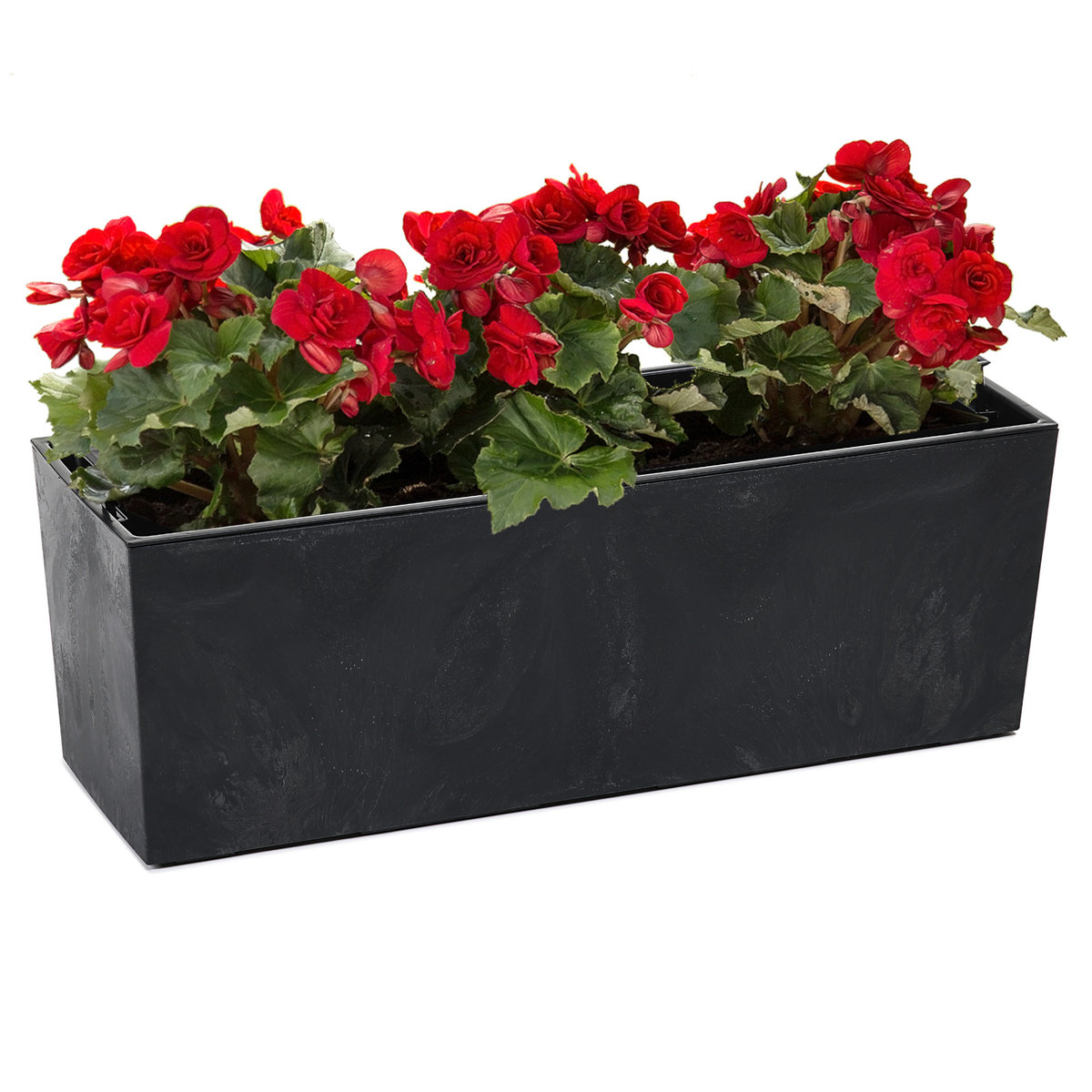 Donica kwietnik efekt betonu wkład Czarny Mat 56x19 H19,5cm Prostokątna