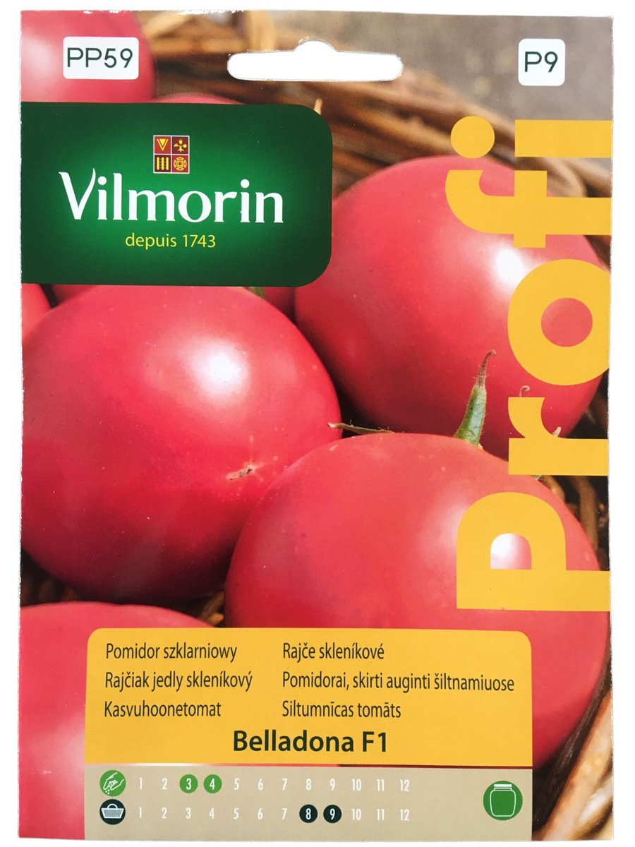 Pomidor Belladona F1 8 Nasion Vilmorin Profi