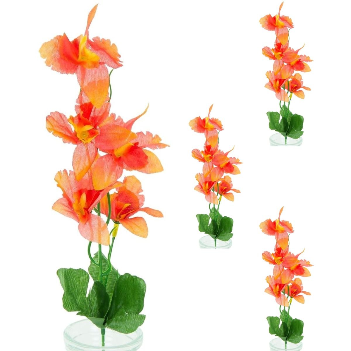 Storczyk Ozdobny Gałązka Koralowa 3 szt