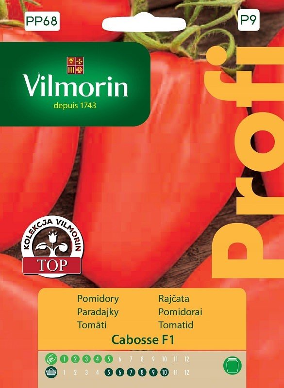 Pomidor Cabosse F1 6z Vilmorin