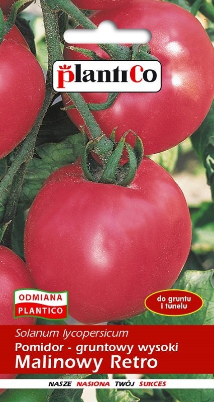 Pomidor gruntowy Malinowy Retro 10 g Plantico
