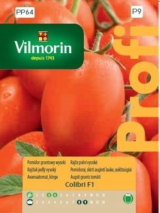 Pomidor Colibri F1 8z VILMORIN