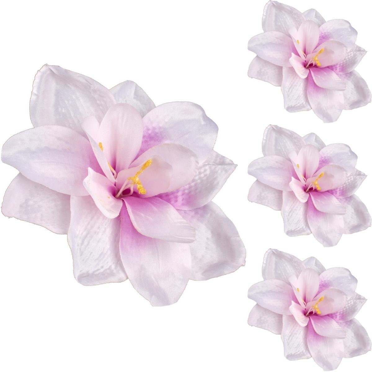 Amarylis Główka Wyrobowa Różowo-Purpurowy 3 szt.