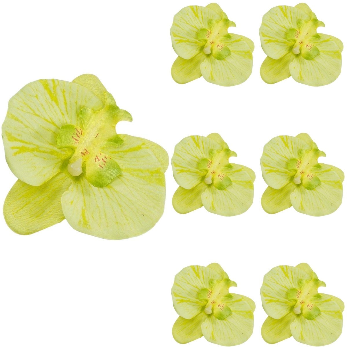 Storczyk Satyna Główka Wyrobowa Jasnozielona 6 szt