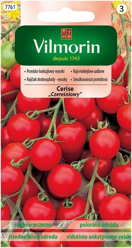 Pomidor Cerise 1 g Vilmorin czereśniowy