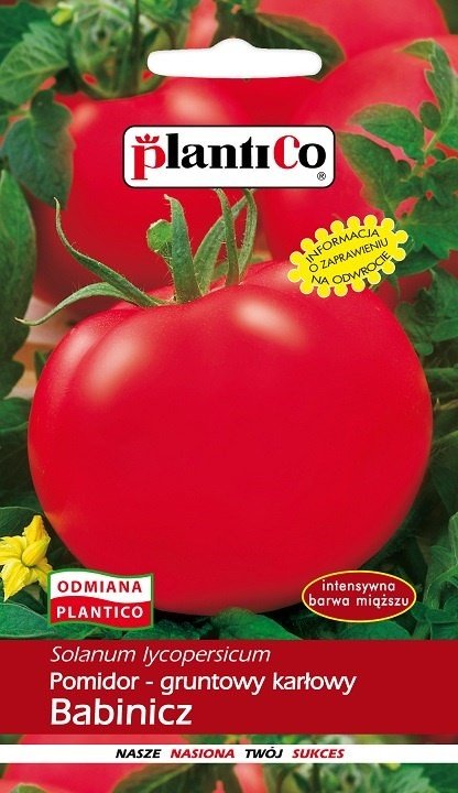 Pomidor gruntowy Babinicz 10 g Plantico POLAN