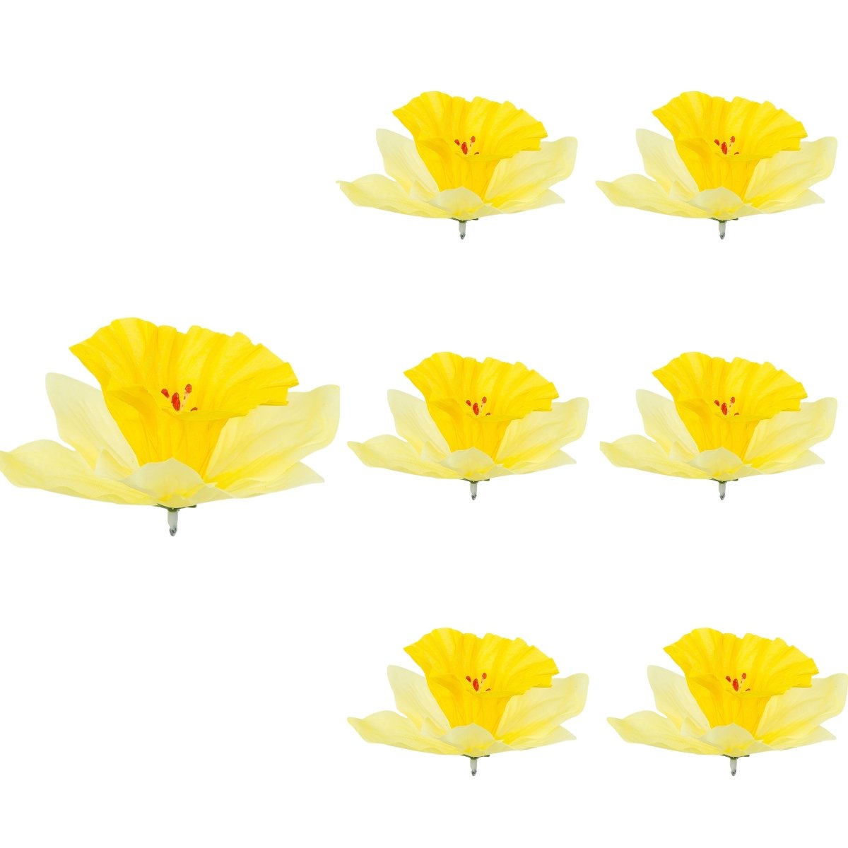 Żonkil Ciemnożółty Główka Wyrobowa Ozdobna 6  szt