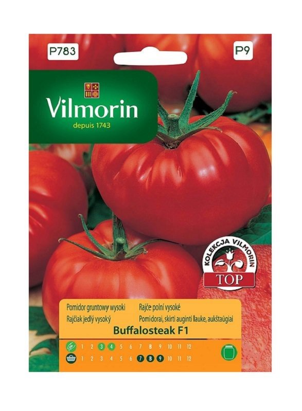 Pomidor gruntowy wysoki Buffalosteak F1 10z Vilmorin