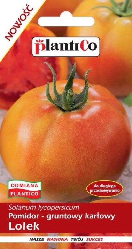 Pomidor gruntowy Lolek 10 g Plantico