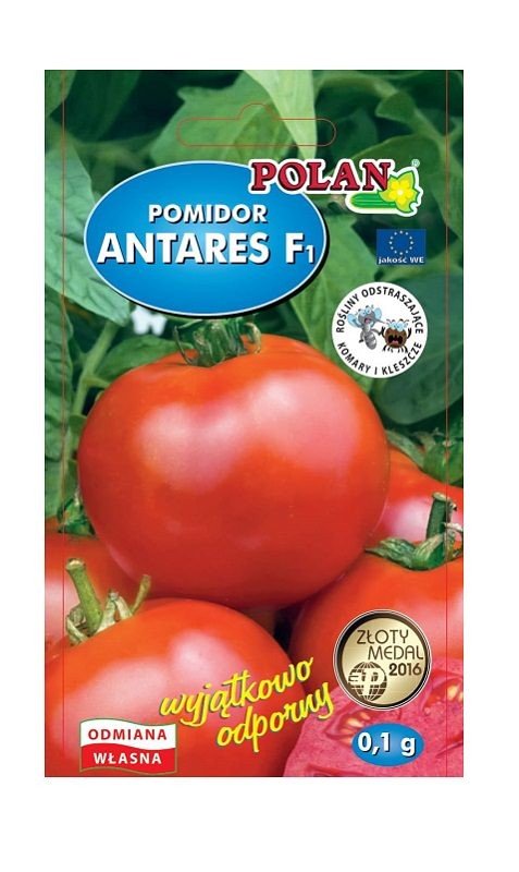 Pomidor Antares F1 0,1 g POLAN