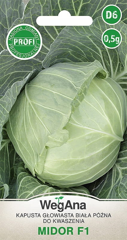Kapusta głowiasta biała późna Midor F1 0,5g nasiona - WegAna