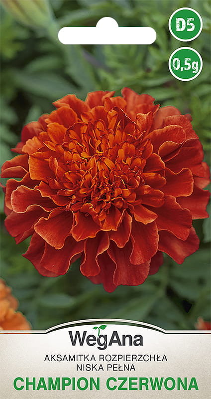 Aksamitka Rozpierzchła Champion czerwona 1g nasiona - WegAna