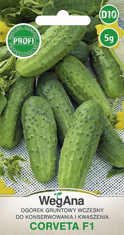 Ogórek Corveta F1 5g nasiona - WegAna