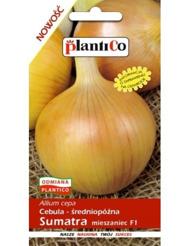 Cebula F1 Sumatra 5 g PLANTICO