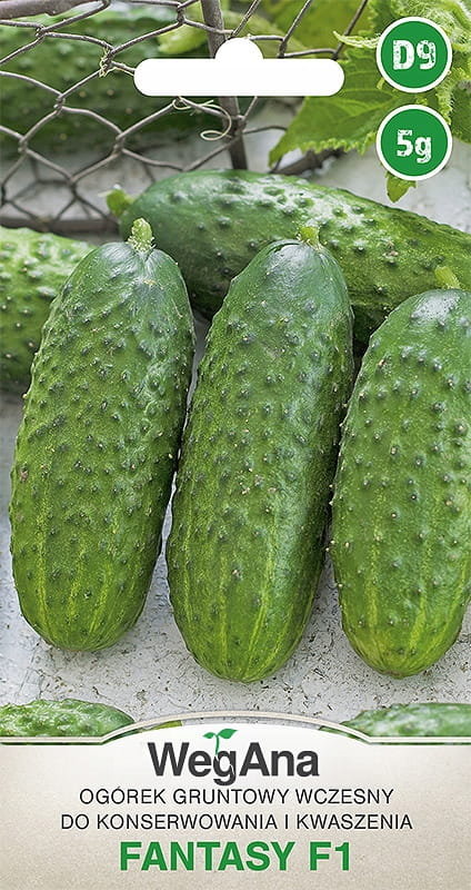 Ogórek Fantasy F1 5g nasiona - WegAna