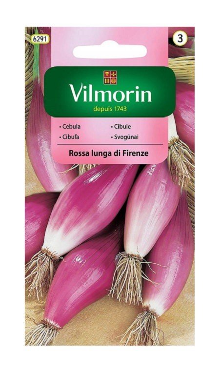 Cebula czerwona podłużna Rossa lunga di Firenze 2 g Vilmorin
