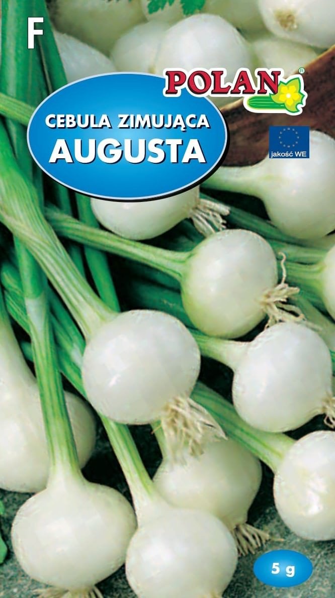 Cebula Augusta 5 g POLAN