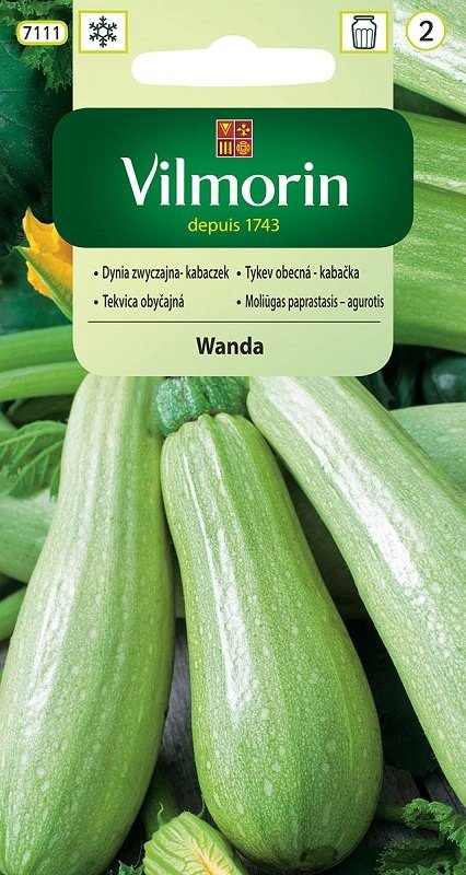 Kabaczek Wanda 2 g Vilmorin