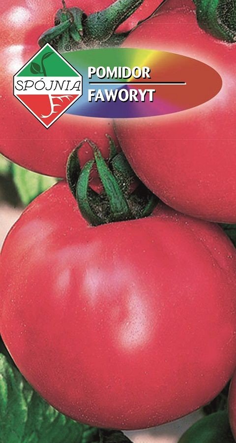 Pomidor gruntowy Faworyt 0.5 g SPÓJNIA