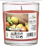 Świeca zapachowa Tropikalne Mango