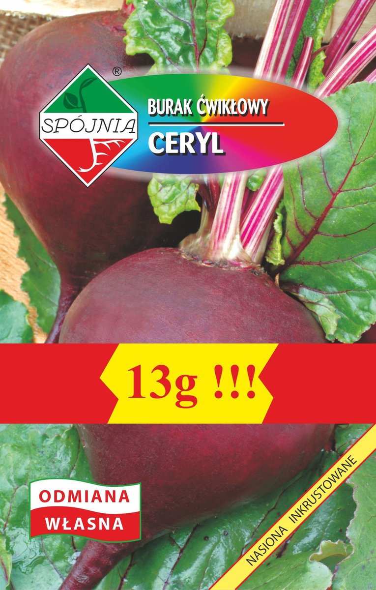 Burak ćwikłowy Ceryl 13 g SPÓJNIA