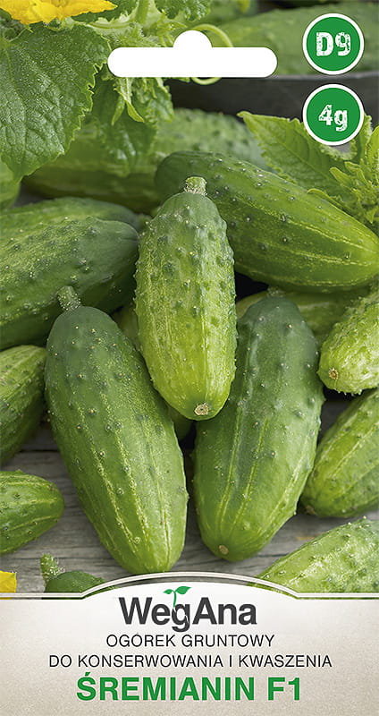 Ogórek gruntowy Śremianin F1 4g nasiona - WegAna