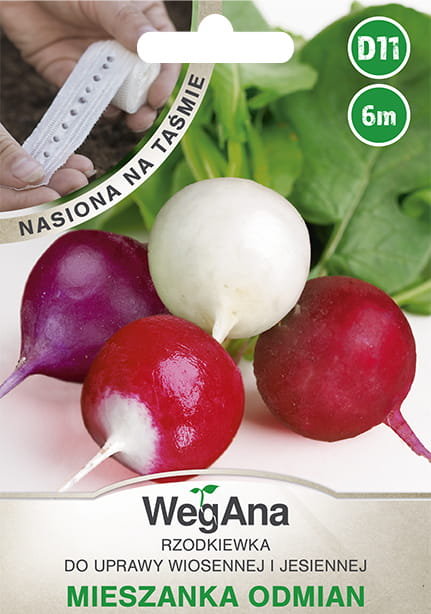 Rzodkiewka mieszanka odmian okrągłych nasiona na taśmie 6 m - WegAna