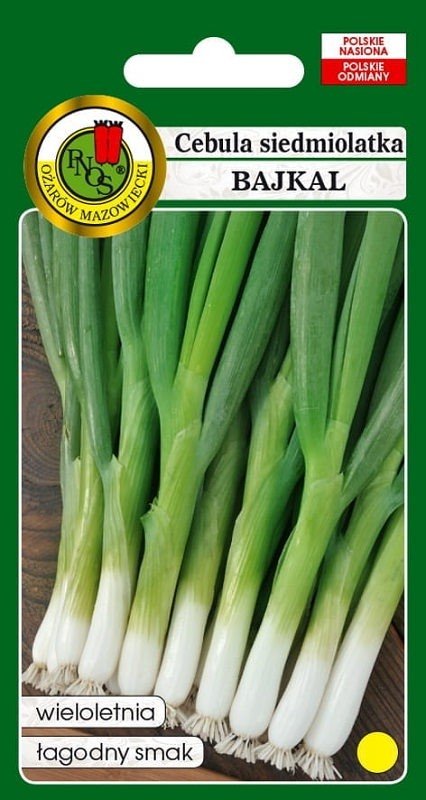 Cebula siedmiolatka Bajkal 50 g PNOS