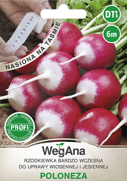 Rzodkiewka Poloneza nasiona na taśmie 6 m - WegAna