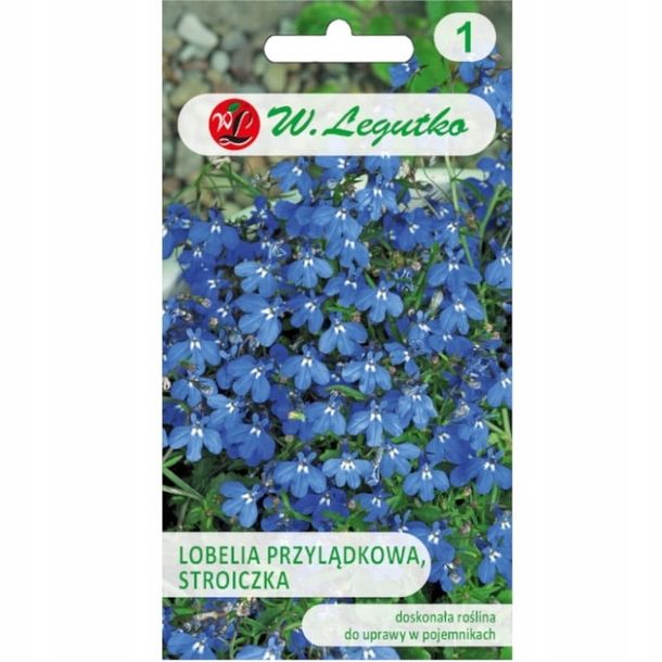 Legutko sp. z o.o Nasiona Lobelia przylądkowa, Stroiczka niebieska