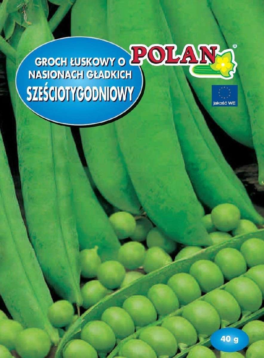 Groch Siewny Łuskowy Sześciotygodniowy Nasiona 40g Polan