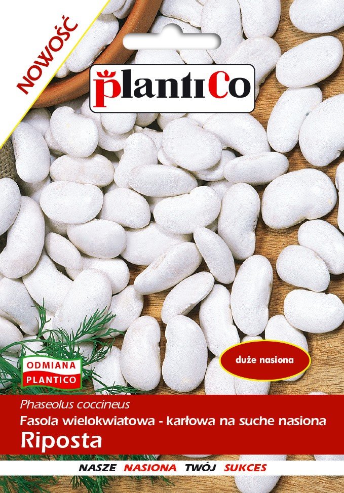 Fasola Riposta 50 g PLANTICO