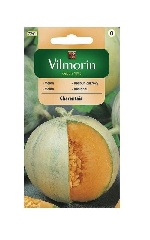 Melon Charentais 1 g Vilmorin