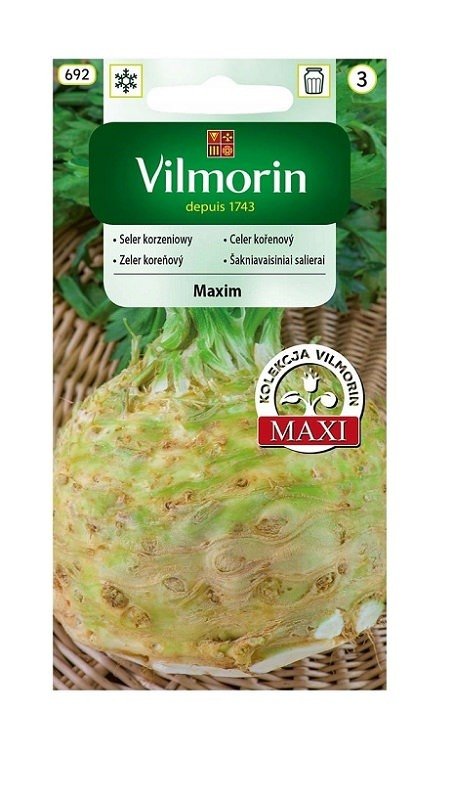 Seler korzeniowy Maxim 0,5 g Vilmorin