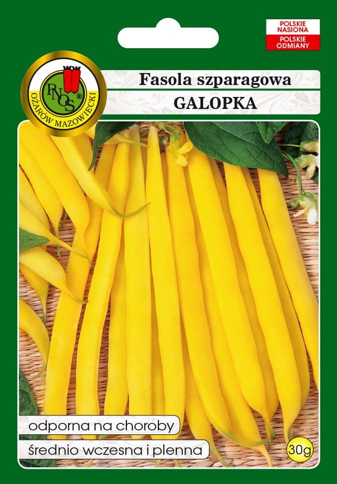 Fasola szparagowa żółta karłowa Galopka 30 g PNOS