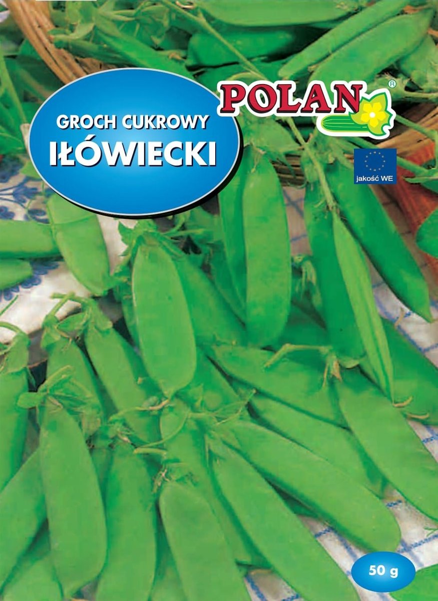 Groch siewny cukrowy Iłówiecki 50 g POLAN