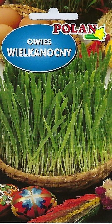 Owies wielkanocny 20 g POLAN