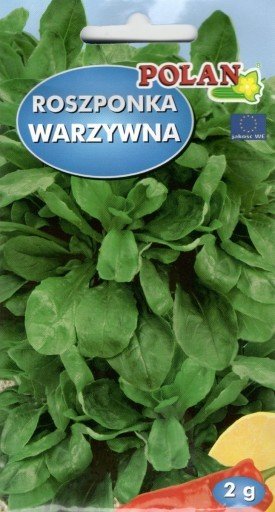 Roszponka warzywna 2 g POLAN