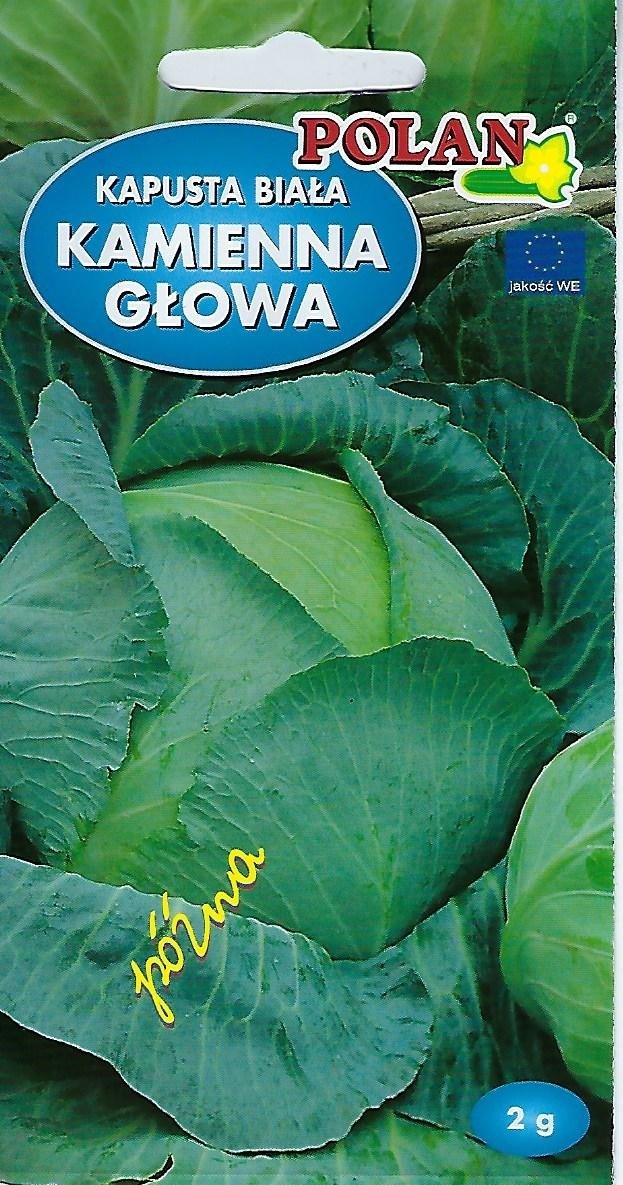 Kapusta Głowiasta Biała Kamienna Głowa Nasiona 2g Polan