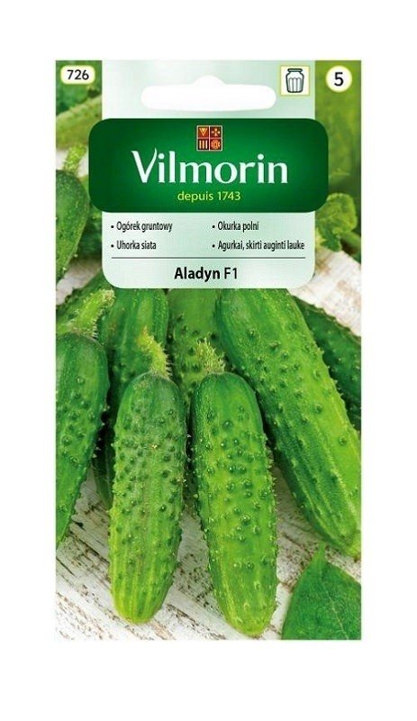 Ogórek gruntowy Aladyn F1 5 g Vilmorin