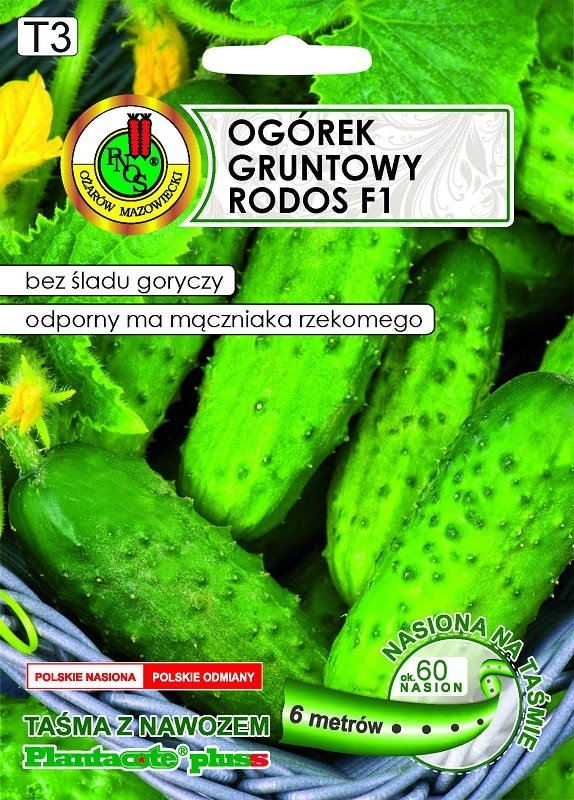 Ogórek gruntowy na taśmie Rodos F1 6 m PNOS