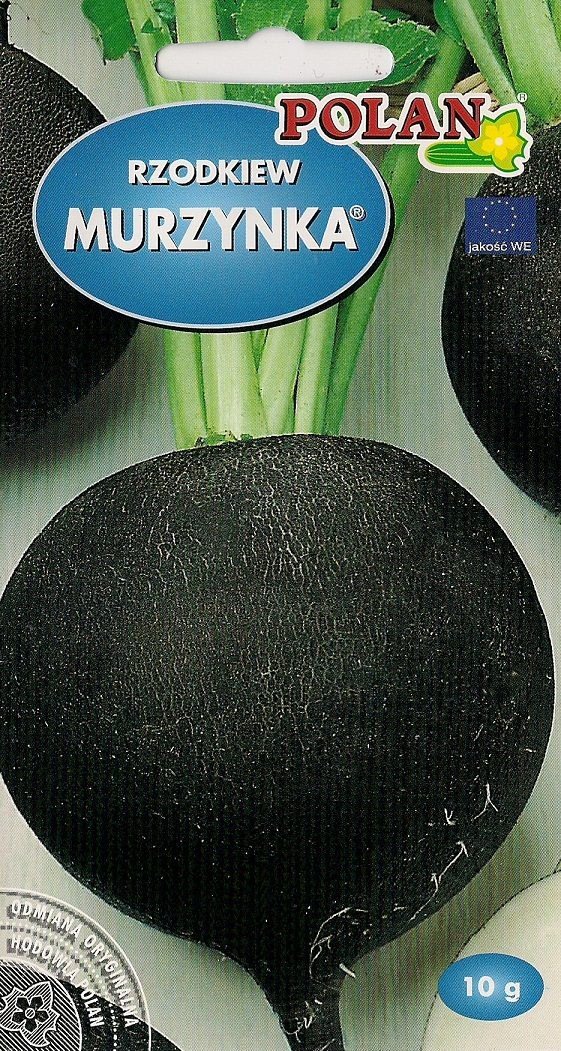Rzodkiew Murzynka 10 g POLAN