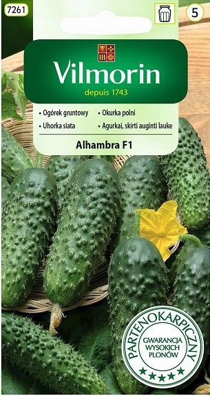 Ogórek gruntowy Alhambra F1 3 g VILMORIN