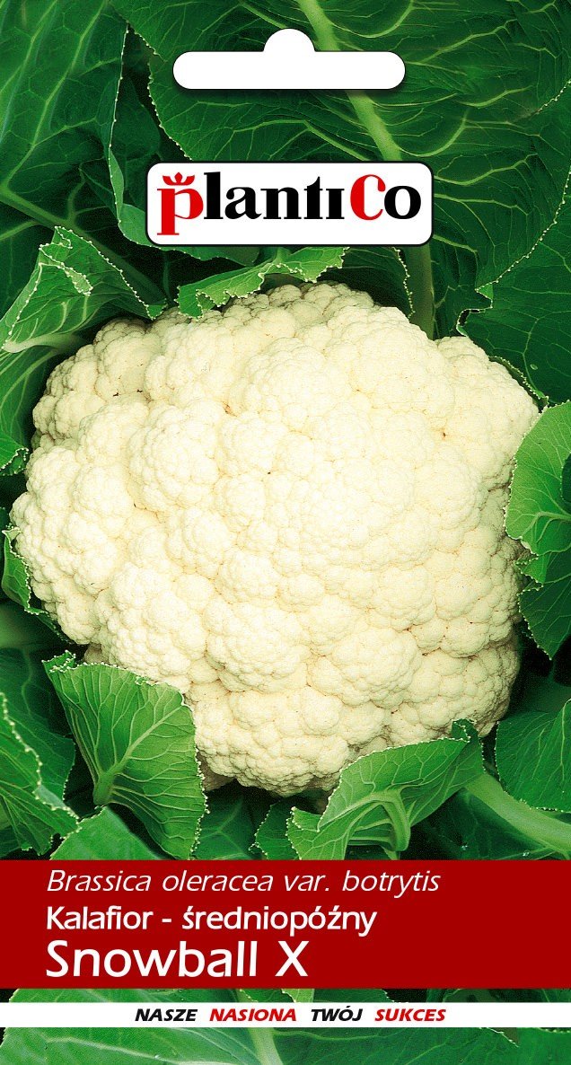 Kalafior Snowball 1 g PLANTICO