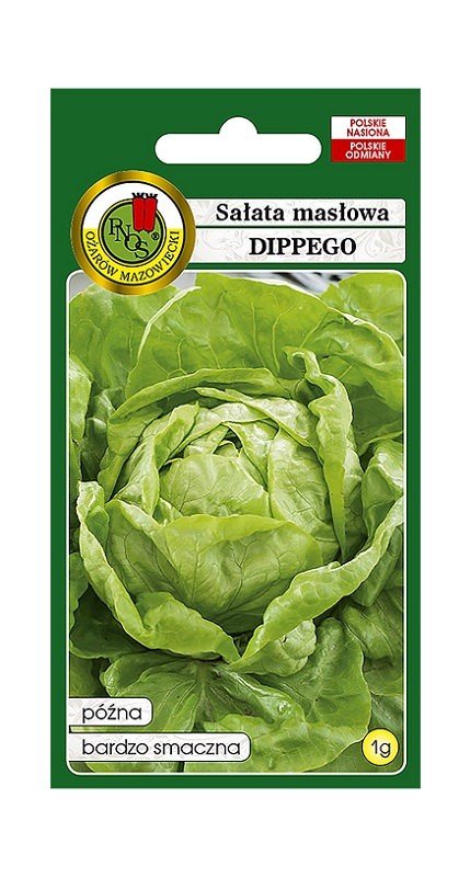 Sałata głowiasta masłowa Dippego 1 g PNOS Ożarów